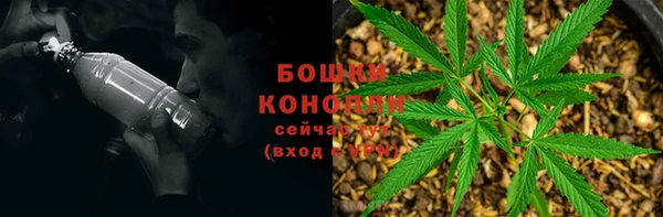 apvp Верея