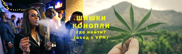 apvp Верея