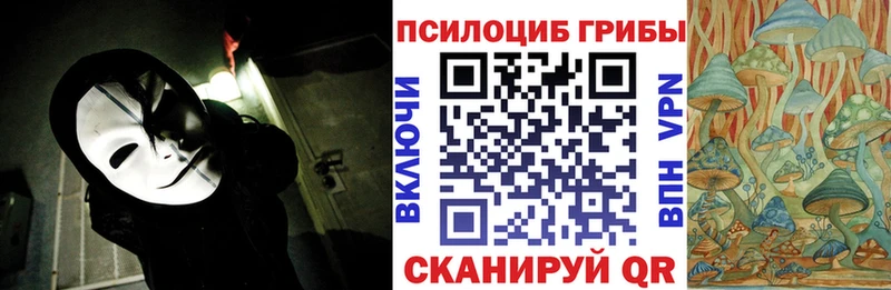 Купить где  Тырныауз  Псилоцибиновые грибы Psilocybine cubensis 